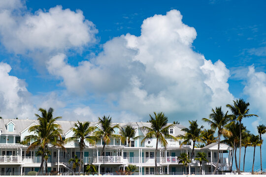 Cottage house architecture. Beach private exterior with palm tree. Hotel neighborhood. Residential hotel cottage architecture. House exterior. Summer vacation. Vacation house in beach area