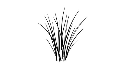 Minimalist Black and White Illustration of Tall Grass Stems on White Background © rglstrm