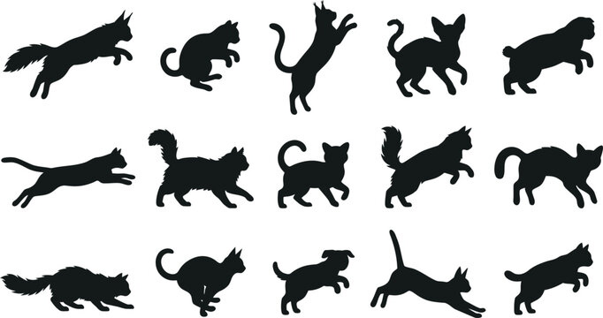 Halloween Black Cat Action Silhouette Bundle SVG PNG DXF EPS Spooky Feline Clipart For Cricut Sublimation Laser Cutting Vinyl Sticker T Shirt Digital Download