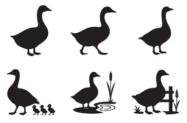 Obraz premium Silhouettes of geese and goslings in various poses and settings