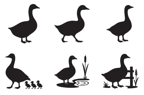 Silhouettes of geese and goslings in various poses and settings