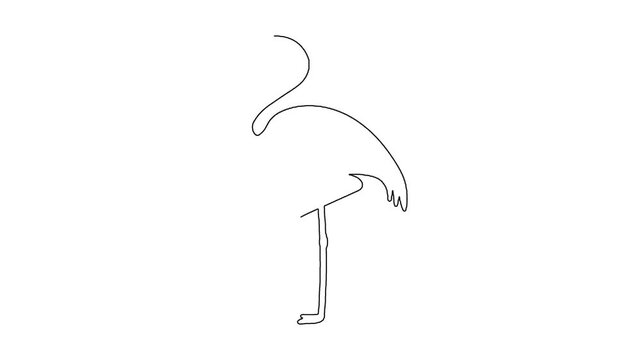 Minimalist continuous line drawing animation of a single elegant flamingo.