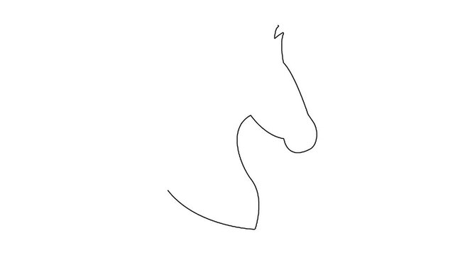 Minimalist continuous line drawing animation of side profile horse head.