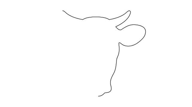 Continuous line drawing animation of simple cow head silhouette in motion.