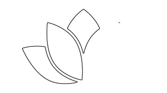 Minimalist lotus flower illustration outline sketch motion graphic video.