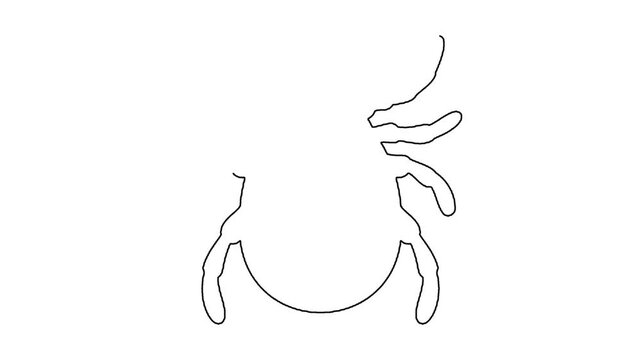 Continuous line drawing of tick parasite isolated on white background art.