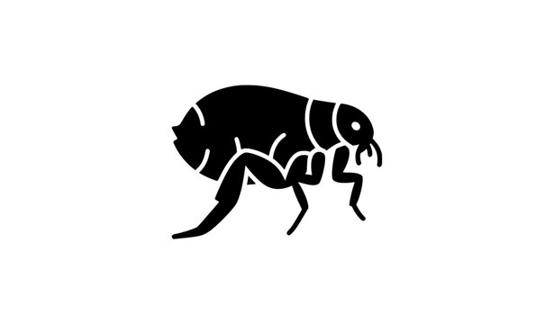 Simple Flea Glyph Icon Black Pest Vector Illustration