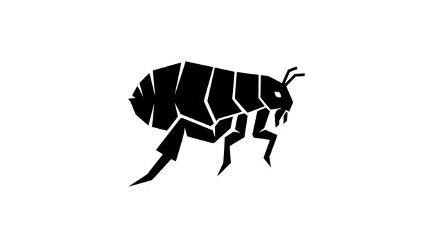 Geometric Flea Glyph Icon Black Vector Symbol