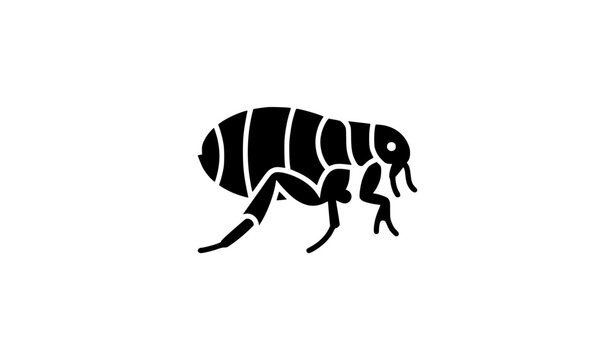 Minimal Flea Icon Black Insect Vector Illustration