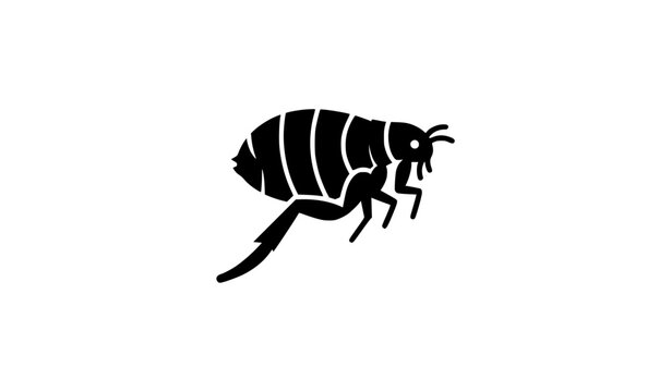 Compact Flea Icon Black Silhouette Vector Illustration