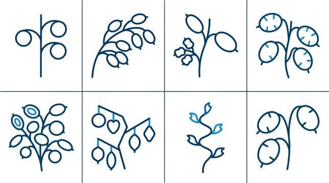 Minimalist Botanical Plant and Seed Pod Line Vector Icon Set for Agricultural Branding, Organic Packaging & Nature Education (EPS)
