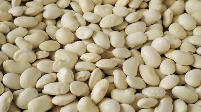 White lima beans slowly moving as food background