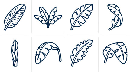 Tropical Banana Leaf Outline Icon Set Vector for Botanical Branding, Summer Graphic Design & Eco Friendly Packaging (EPS) © Muhammad