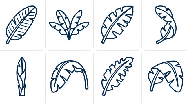 Tropical Banana Leaf Outline Icon Set Vector for Botanical Branding, Summer Graphic Design & Eco Friendly Packaging (EPS)