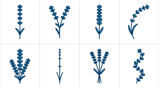 Minimalist Lavender Flower Sprigs and Botanical Branch Vector Icon Set for Organic Branding, Floral Stationery & Wellness Packaging (EPS)