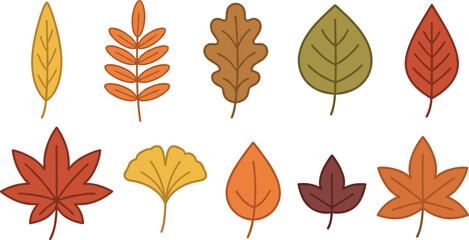 Autumn Leaves Vector Icon Set with Colorful Flat Line Art Foliage for Thanksgiving Day Greetings, Seasonal Backgrounds, and Fall Festival Graphic Designs © SUMON