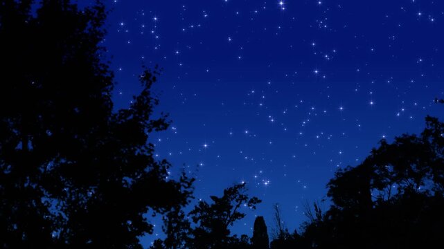 starry night sky with trees meditation motion background,glowing and shiny stars relaxing stream social media design element