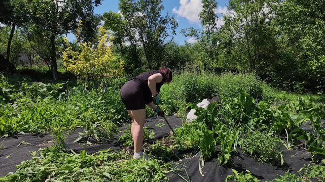 Man and Woman Pull Weeds Side by Side in Slow Motion Scene Today