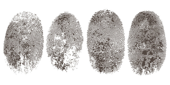 Set of four brown distressed human fingerprint textures representing biometric security and personal identity vector illustration.