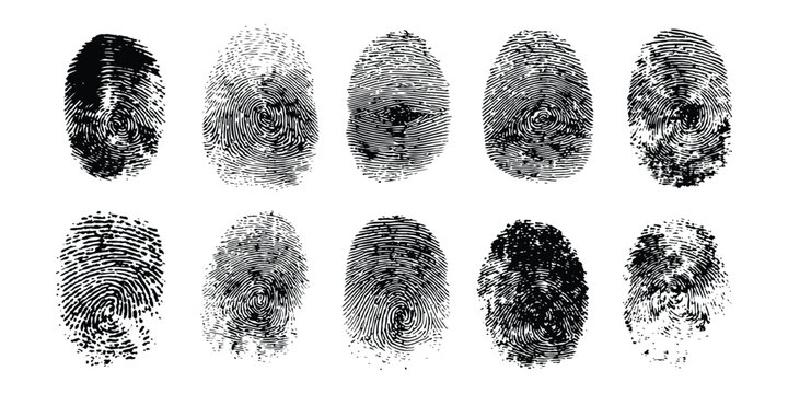 Collection of ten black grunge human fingerprints showing detailed biometric thumbprint textures and patterns vector illustration.