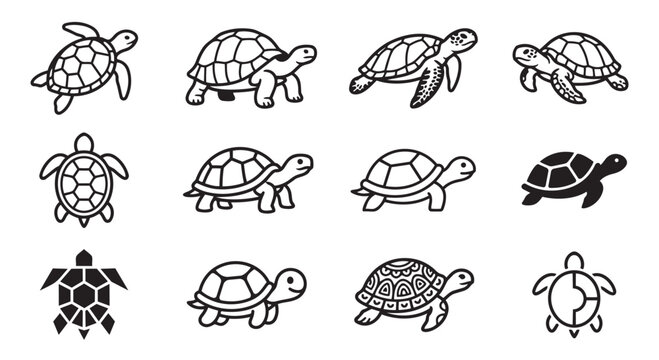 Collection of sea turtle icons in different poses and styles with wildlife collection silhouette