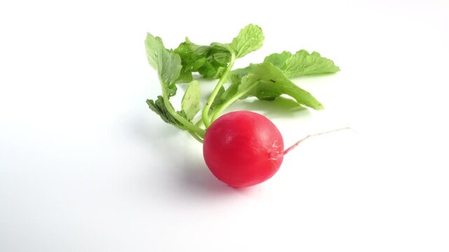 Red Radish rotating on white background isolated