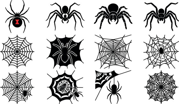Black spider silhouette vector set including red black widow tarantula and detailed cobweb designs for spooky Halloween graphic elements isolated on white.