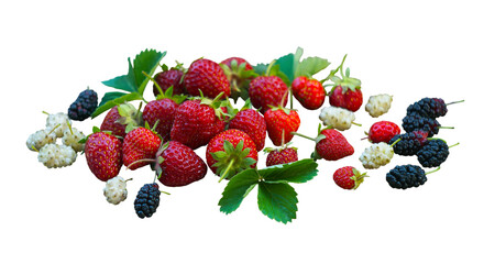 A heap of fresh summer berries with green leaves on white isolation. Ripe organic strawberries and mulberries mix isolated for design. Assorted garden berries including strawberry and mulberry on whit © PX