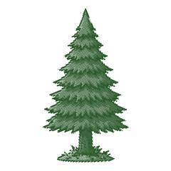 Obraz premium Vintage evergreen pine tree vector illustration, classic green spruce conifer isolated on white, retro botanical fir tree for outdoor branding