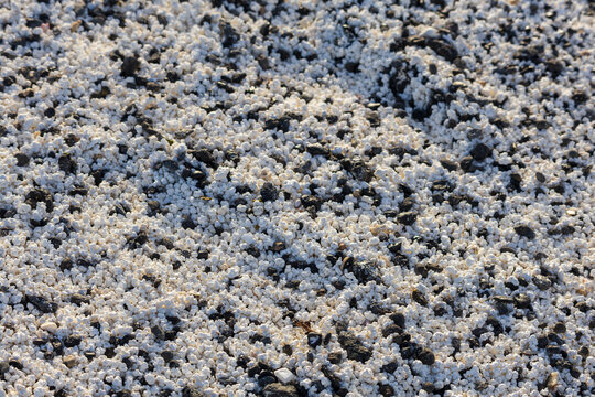 Full frame texture of white popcorn algae rhodoliths mixed with black volcanic stones