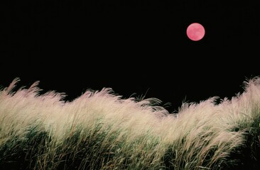 Naklejka premium Lush golden grasses sway under a vibrant crimson moon in a deep night sky