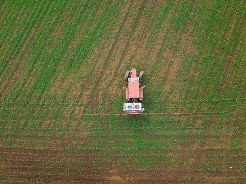 Tractor applying fertilizer or pesticide to young crops on a farm