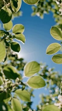 Fresh green summer leaves swaying beneath a bright blue sky, vertical video capturing sunlight, gentle movement, and peaceful nature with copy space