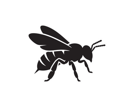 Black wasp isolated on white background. Close-up macro shot of flying hornet or stinging insect in high detail.