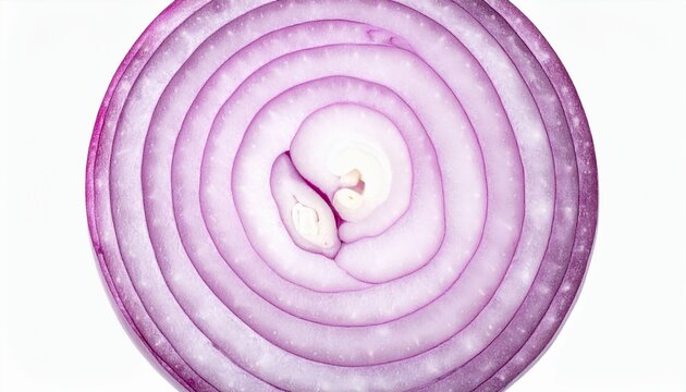 Onion Cross section Shows Concentric Circles on White Background