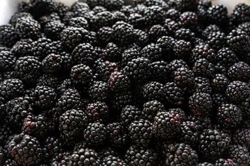 A high-angle, full-frame shot of fresh, ripe boysenberries packed closely together. The deep purple and black berries create a rich, textured natural pattern suitable for backgrounds and food concepts © Dina Luk