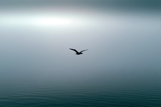Silhouette of a lone bird soaring over tranquil, misty water
