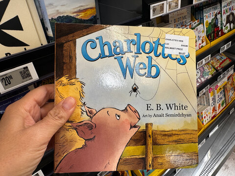 Mesa, Arizona - June 28, 2026: Hand holds a Charlottes Web childrens book