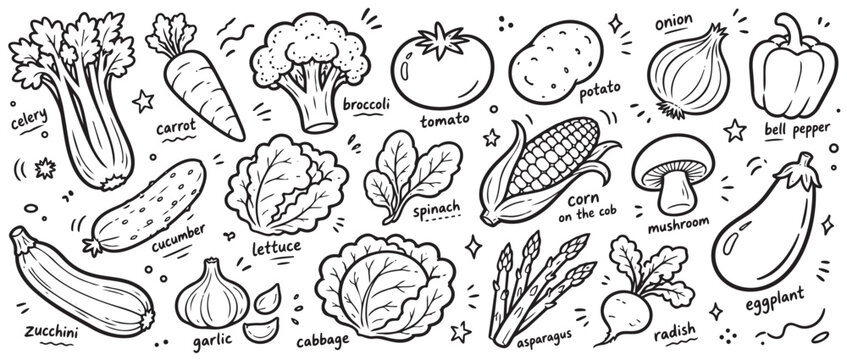 Collection of various hand-drawn vegetables in a playful doodle style, featuring outlines of healthy produce on a white background
