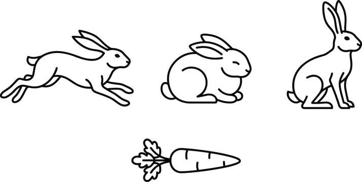 Set of three rabbits and a carrot outline on a plain white background, bunny