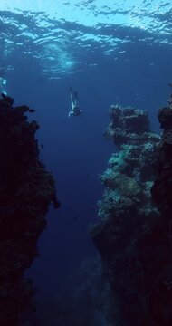 Freediver dives in ocean. Woman freediving in near rocks