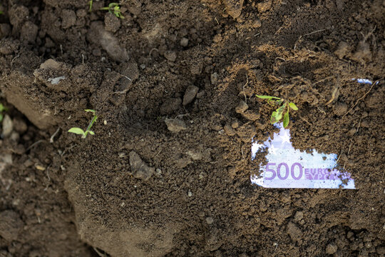 Dirty Money 500 Euro Note Half Hidden in Ground