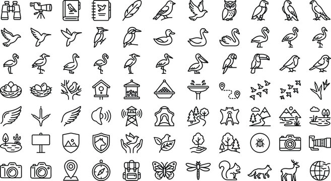 Nature photography vector line art collection showcasing woodland habitats environmental science badges hiking accessories and wild creature contours