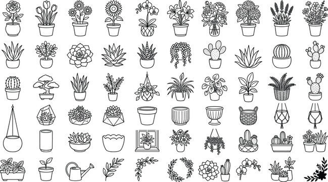 Floricultural templates vector graphic spreadsheet showcasing desert xerophytes decorative plant containers and ornamental sprig contours