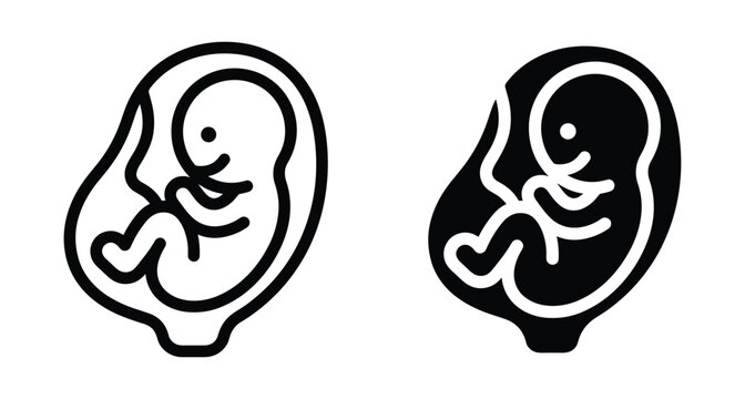 Human fetus in womb icon set representing pregnancy prenatal development embryo growth medical healthcare maternity mother child life cycle biology