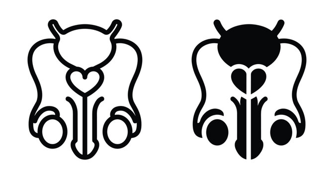 Male reproductive system icons showing prostate gland bladder urethra and testes in outline and solid black silhouette styles for medical design