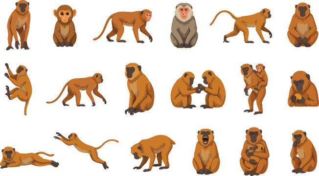 Collection of various monkey characters in flat vector style showing different poses and daily activities set