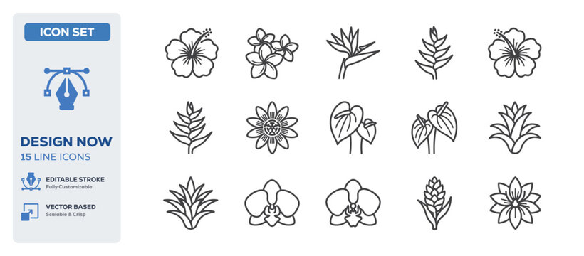 flat vector illustration line art icon bundle set design representing beautiful blooming hibiscus tropical summer flowers hawaiian nature plants and botanical flora UI