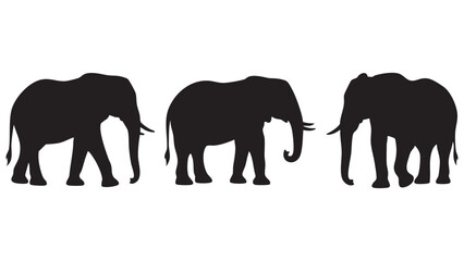 Fototapeta premium Elephant silhouettes against a white background a trio of african wildlife shapes