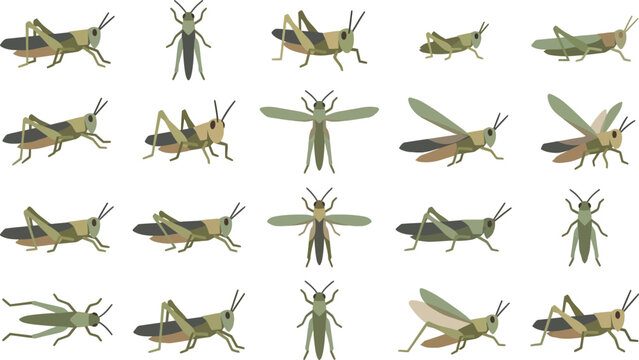 Vector set of green grasshopper icons and locust character poses in flat design style